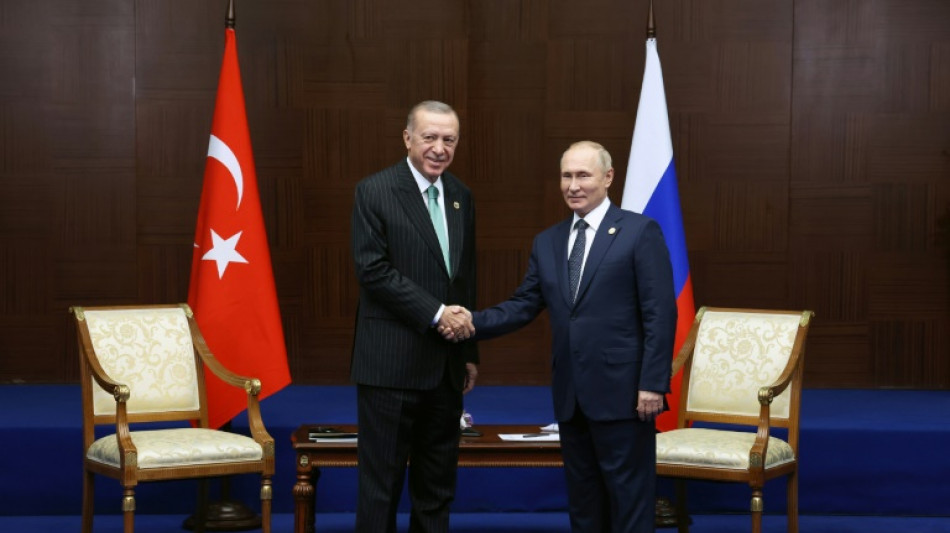 C&eacute;r&eacute;ales, engrais et Syrie: Lavrov en Turquie vendredi 