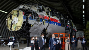 Vol MH17 : "fortes indications" selon lesquelles Poutine a approuv&eacute; la fourniture du missile