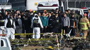 Corea del Sur examina si el muro de hormig&oacute;n en el aeropuerto de Muan cumpl&iacute;a con las normas