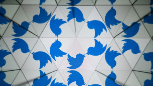 Elon Musk insinúa que podría reemplazar la marca del pájaro de Twitter