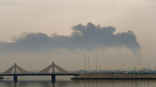 Bahrain cracks down on Shia dissent as Iran war tests kingdom