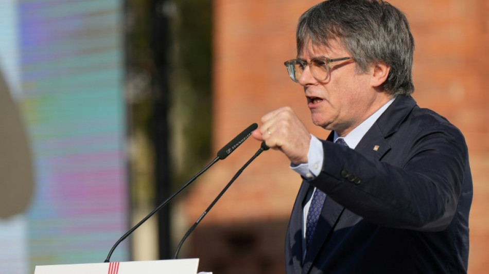 'Nunca tive inten&ccedil;&atilde;o de me entregar' &agrave; Justi&ccedil;a espanhola, diz Puigdemont