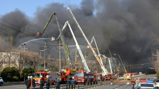 14 Tote bei verheerendem Brand in Autoteilefabrik in S&uuml;dkorea