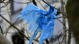 Deutschlands Verpackungsverbrauch r&uuml;ckl&auml;ufig - Recyclingquote 2022 leicht gestiegen