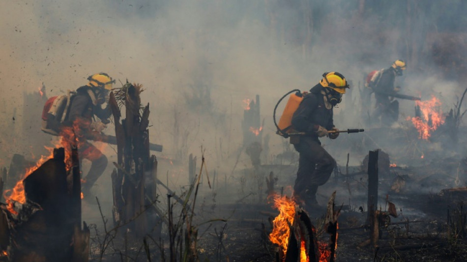 Br&eacute;sil: plus d'incendies en Amazonie depuis janvier que sur toute l'ann&eacute;e 2021 