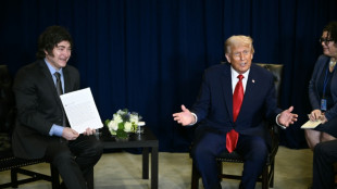 Argentina anuncia una reunión Trump-Milei en la Casa Blanca