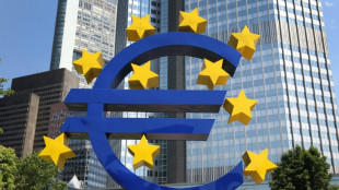 Desmantelada una red capaz de blanquear 1 mill&oacute;n de euros al d&iacute;a en Europa