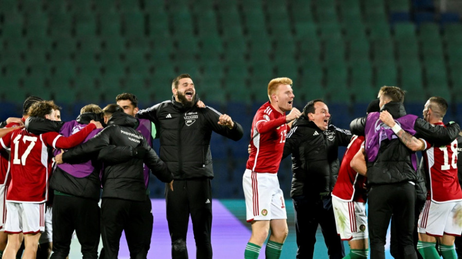 Eigentor sichert sp&auml;ten Punkt: Ungarn bei EM dabei