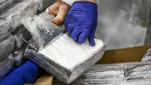 Fast 800 Kilogramm Kokain &uuml;ber Hamburger Hafen geschmuggelt - Vier Festnahmen