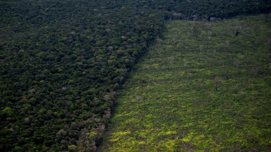 Br&eacute;sil: en Amazonie, les "terres de personne" particuli&egrave;rement vuln&eacute;rables