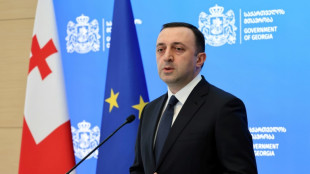 Sign of internal shakeup as Georgia raids home of ex-PM, others