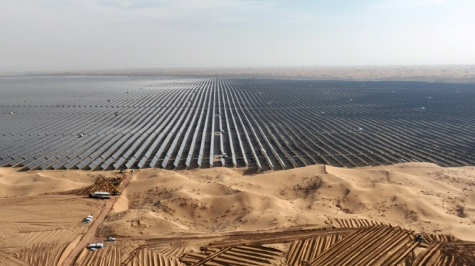 World added 50% more renewable energy but more needed: IEA