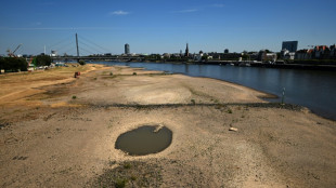 Hitze und Niedrigwasser: St&auml;dte- und Gemeindebund fordert "nationalen Kraftakt"