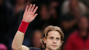 Aufregung im Davis Cup: Bergs rennt Gar&iacute;n &uuml;ber den Haufen