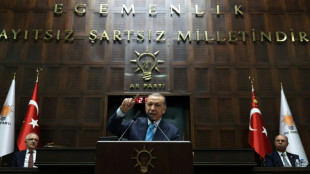 Otan: Ankara donne un coup d'arr&ecirc;t &agrave; l'adh&eacute;sion de la Su&egrave;de et de la Finlande