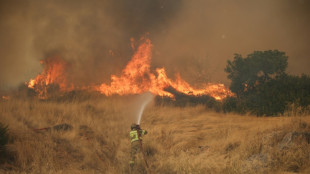 Dutzende L&ouml;schflugzeuge weiter im Einsatz gegen Feuer nahe Athen
