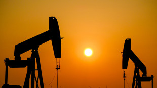 Il petrolio chiude in rialzo a New York a 61,60 dollari