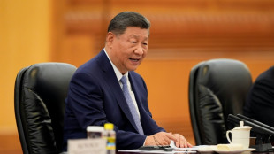 China defiende los controles de tierras raras "conforme a prácticas internacionales"