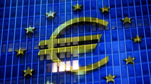 L'euro num&eacute;rique prend corps et veut concurrencer Visa et Mastercard 