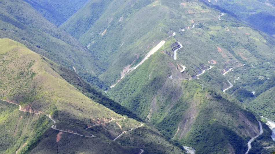 Cient&iacute;ficos descubren un nuevo felino salvaje en Bolivia tras m&aacute;s de un siglo