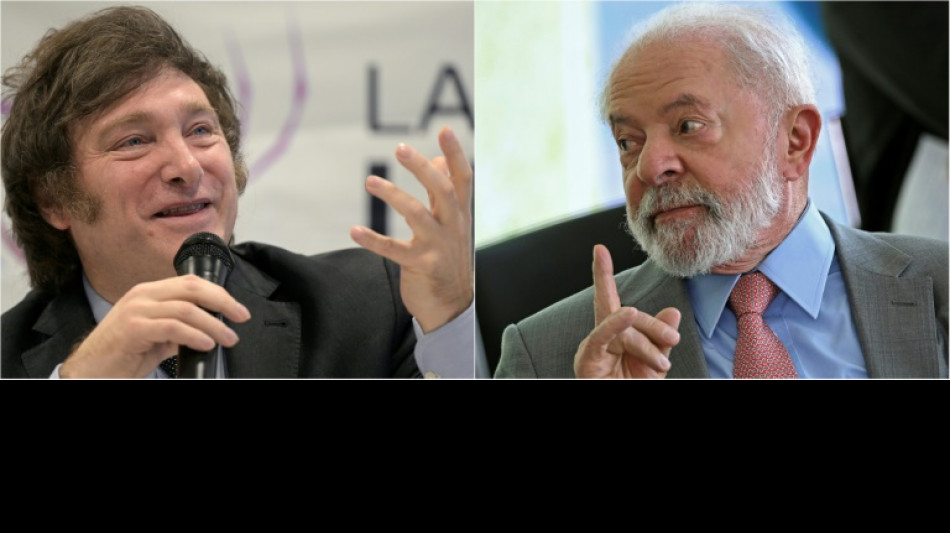 Milei, un vecino inc&oacute;modo para el Brasil de Lula