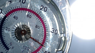 Höhepunkt der Hitzewelle in Deutschland - Temperaturen bis zu 40 Grad erwartet