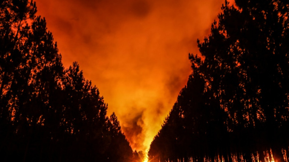 Feux de for&ecirc;t en 2022: record de surfaces br&ucirc;l&eacute;es et d'&eacute;missions de carbone en Europe