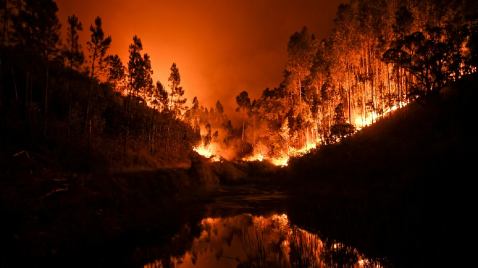 Portugal: s&eacute;rie d'acquittements &agrave; l'issue du proc&egrave;s de l'incendie meurtrier de juin 2017