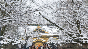Ascienden a 46 los muertos por las fuertes nevadas en Jap&oacute;n