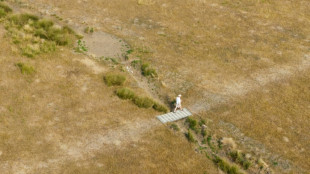 'Severe drought' declared in parts of UK