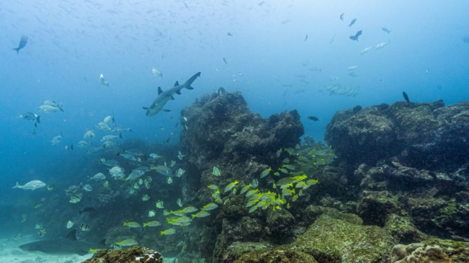 Proteger os oceanos '&eacute; imperativo', alerta f&oacute;rum na Costa Rica