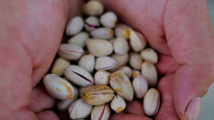 Lentilles, pistaches: des vignerons du Sud se tournent vers des cultures "d'avenir"