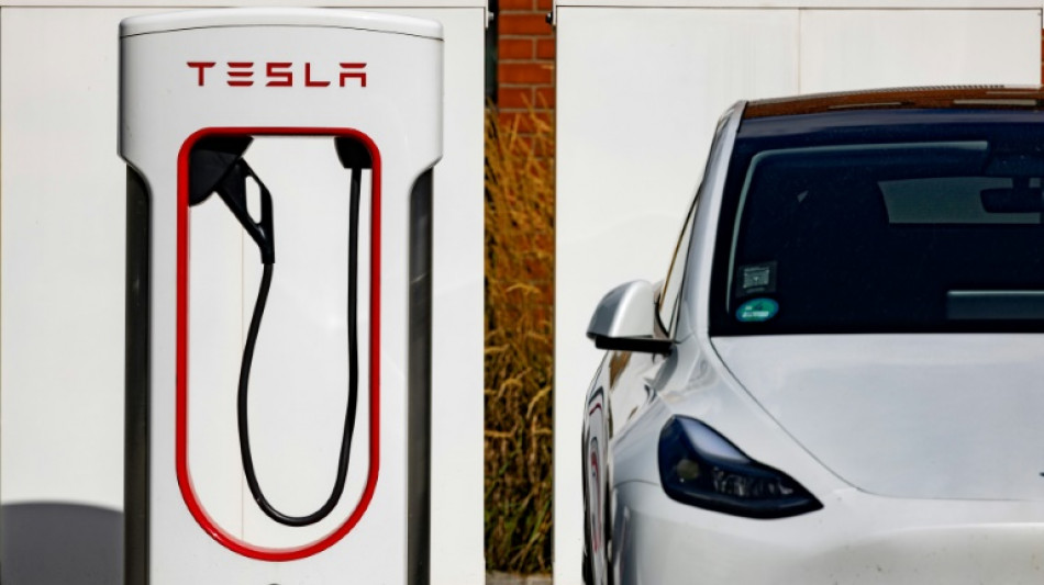 Tesla lanza un proyecto de segunda f&aacute;brica de bater&iacute;as en Shangh&aacute;i 