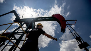 Il petrolio in rialzo a New York a 100,16 dollari al barile