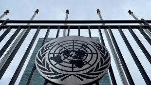 A l'ONU, tout le monde sur le pont pour boucler le trait&eacute; sur la haute mer 