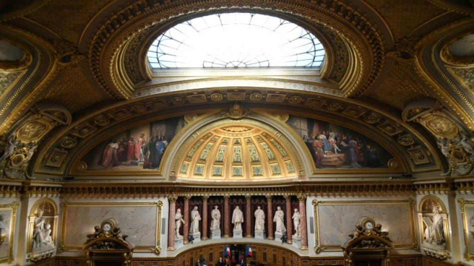 Le site du S&eacute;nat bloqu&eacute; par des hackers pro-russes