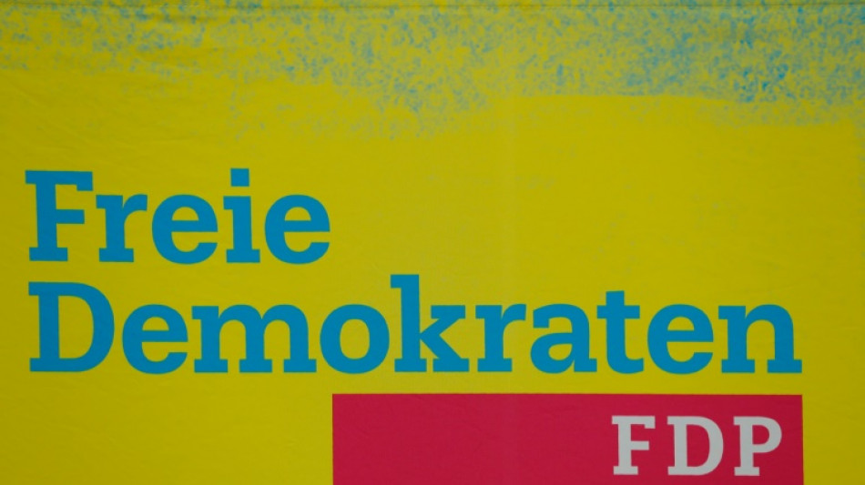 FDP will Bundestagsabstimmung &uuml;ber Taurus - Linke verlangt Regierungserkl&auml;rung