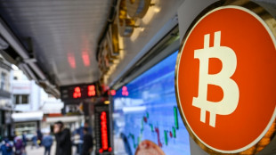 Les grandes entreprises avancent &agrave; t&acirc;tons sur le terrain des cryptomonnaies