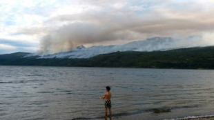 El fuego arrasa m&aacute;s de 3.000 hect&aacute;reas de bosque nativo en la Patagonia argentina