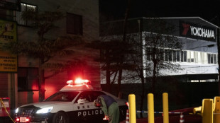 15 Verletzte bei Attacke mit Messer und Fl&uuml;ssigkeit in Fabrik in Japan