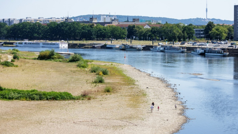 Binnenschiffer: Rhein k&ouml;nnte bald nicht mehr durchg&auml;ngig befahrbar sein