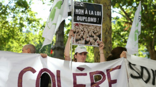 Macron promulga una ley cuya disposición de reintroducir un pesticida fue vetada por un alto tribunal