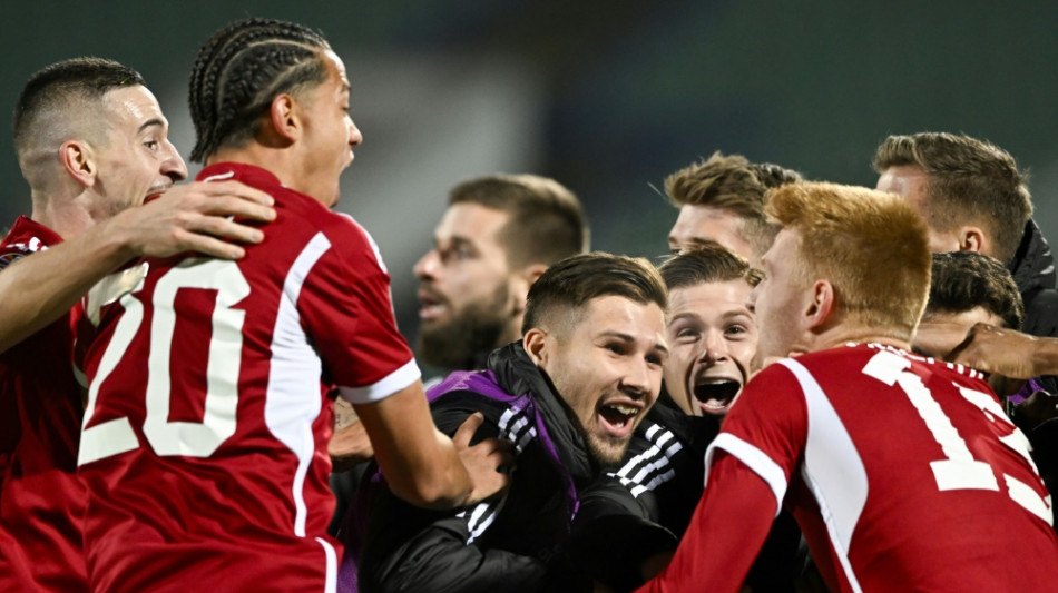 Elf Teilnehmer fix: Ungarn und Slowakei l&ouml;sen EM-Tickets 