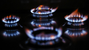 Il gas conclude in rialzo (+3,1%) a 34,5 euro al Megawattora
