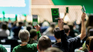 Grüne schärfen Profil bei Klima und Energie - mehr Solidarität für Ukraine gefordert