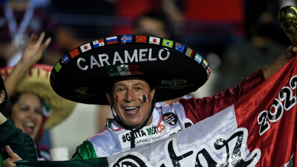 Qatar World Cup supporters' guide