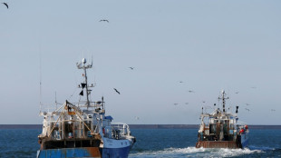 P&ecirc;che, cannabis et coca&iuml;ne: dans les ports fran&ccedil;ais, le poison de la drogue