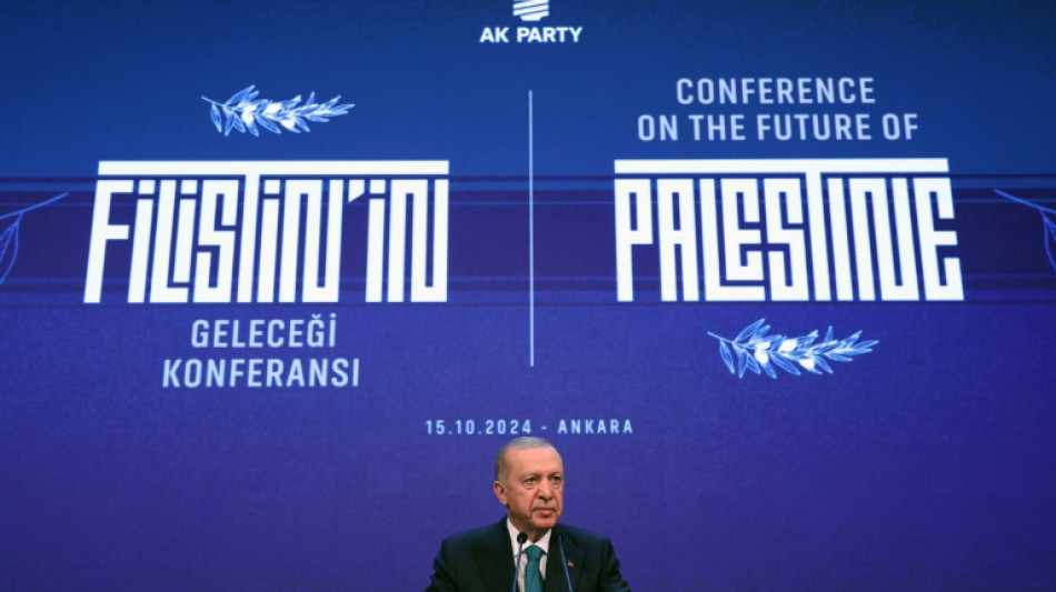 Ankara verschiebt nach Kritik Pl&auml;ne f&uuml;r Kreditkartensteuer f&uuml;r R&uuml;stungsindustrie