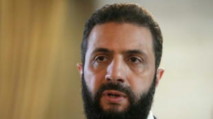 Le pr&eacute;sident syrien en visite &agrave; Berlin pour oeuvrer &agrave; la reconstruction de son pays