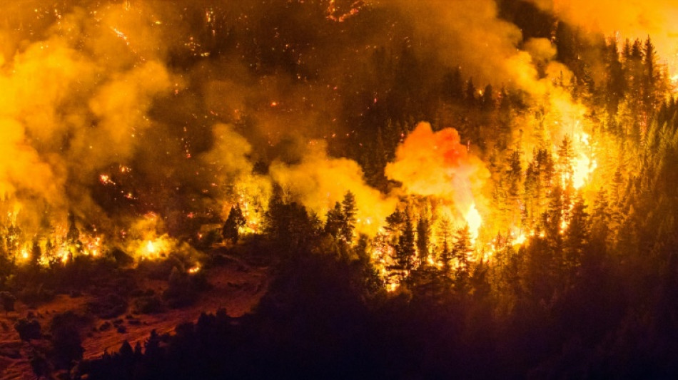 Argentina declares emergency over Patagonia wildfires